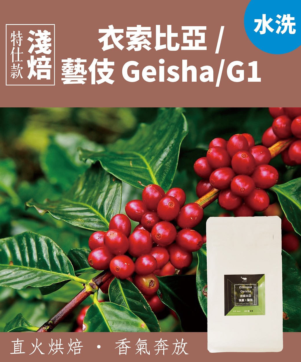 特仕款【衣索比亞/瑰夏/藝伎Geisha/G1】咖啡豆